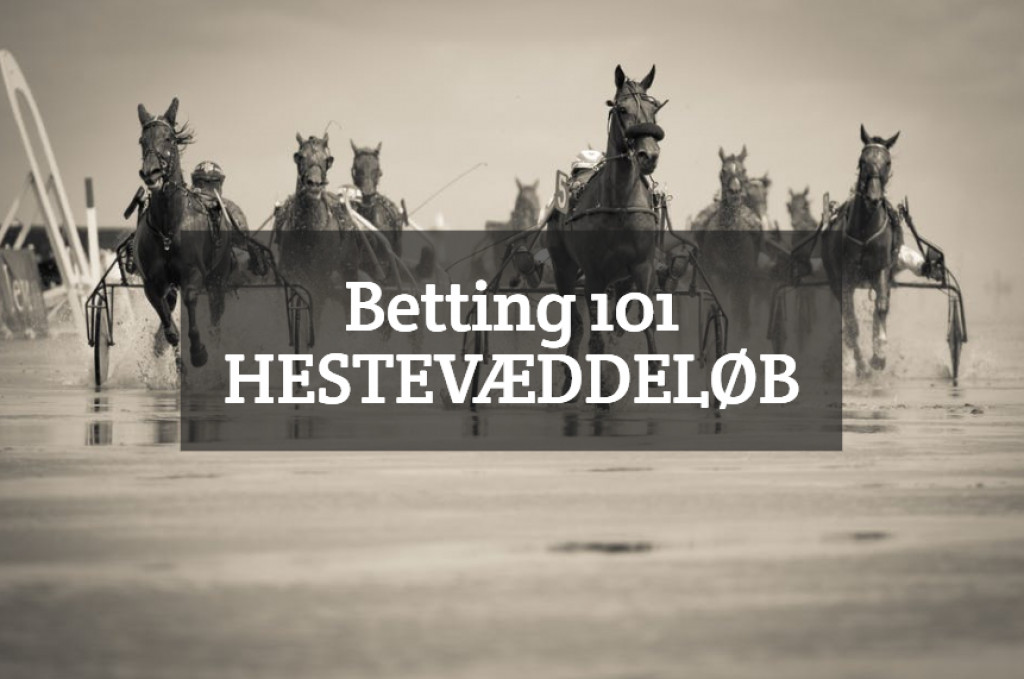 Betting 101 – Hestevæddeløb